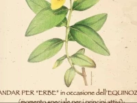 Al Tagliere di Nese 