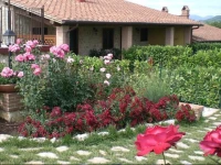 Agriturismo Dei Casali 