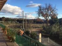 Azienda Agricola Gubbioni 