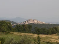 Fattoria Collepina 