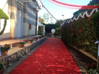 Hotel Ala Bianca 