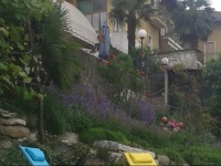 Albergo Ristorante Monterosa 