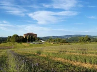 Locanda Cugnanello 