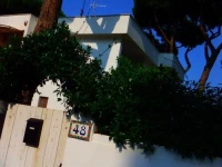 La Mosca Bianca 