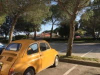 Signora Ruth - Aprilia Residence 