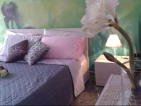 B&B Flora 
