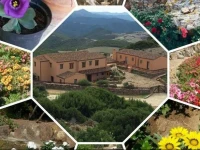 LOasi del Cervo 