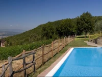 Podere di Pomaio Green Winery 