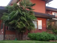 Appartamenti Casa Rossa 