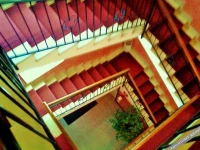 Hotel Rosy 
