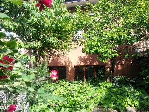 Santa Caterina Apartment 