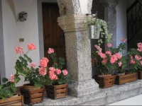 B&B Sot I Volz 