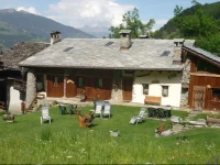 Les Chevreuils 