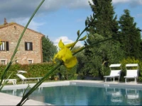 Certine Agriturismo 