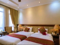 Violin Hotel 
