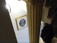 B&B Rosaspina 