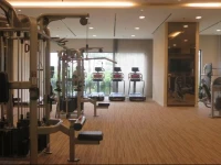 Mulberry Lane Apartment 