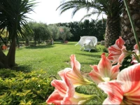 Villa Del Papiro 