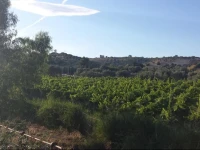 Agriturismo Donna Beatrice 