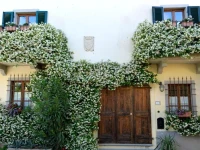 Borgo dei Cadolingi 