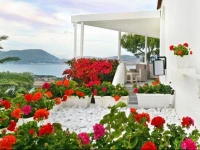 Hotel Cala Moresca 