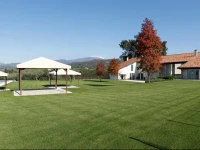 Tenuta La CГ  