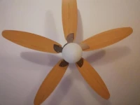 Il Girasole 