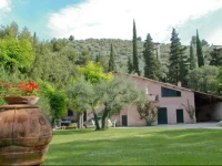Agriturismo LUlivo 