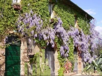 Agriturismo La Leccia 