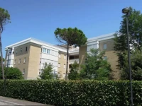 Apartment Residence Peony B 