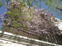 Albergo Villa Lucia 