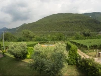 Agriturismo Revena 