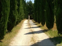 B&B Il Grotto 