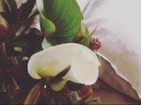LOvest B&b 