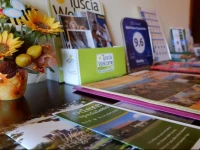 B&B Podere Ospedaletto 