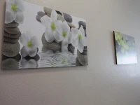 Casa Vacanze Antonia 