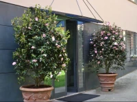 Residenza Bondi 