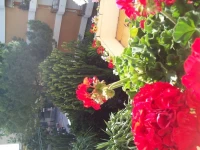 Hotel Marligure 