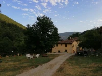 Locanda Di Alberi 