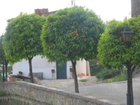 Hotel Tarabaralla 