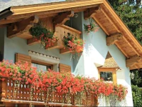 Chalet Alfonz 