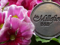 B&B Millefiori
