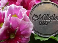 B&B Millefiori 