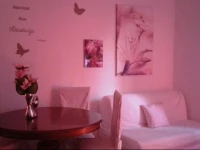 B&B Solidale Il Giglio 