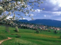 Agriturismo La Canonica 