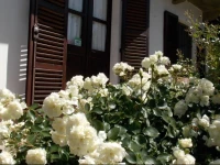 B&B Ca dla Nona 
