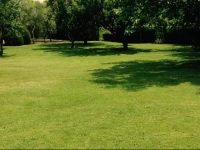 Borgo Buliciano 