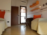 B&B LUpupa 