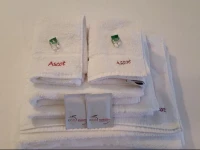 Hotel Ascot 
