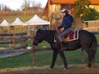 Green Paradise Ranch 